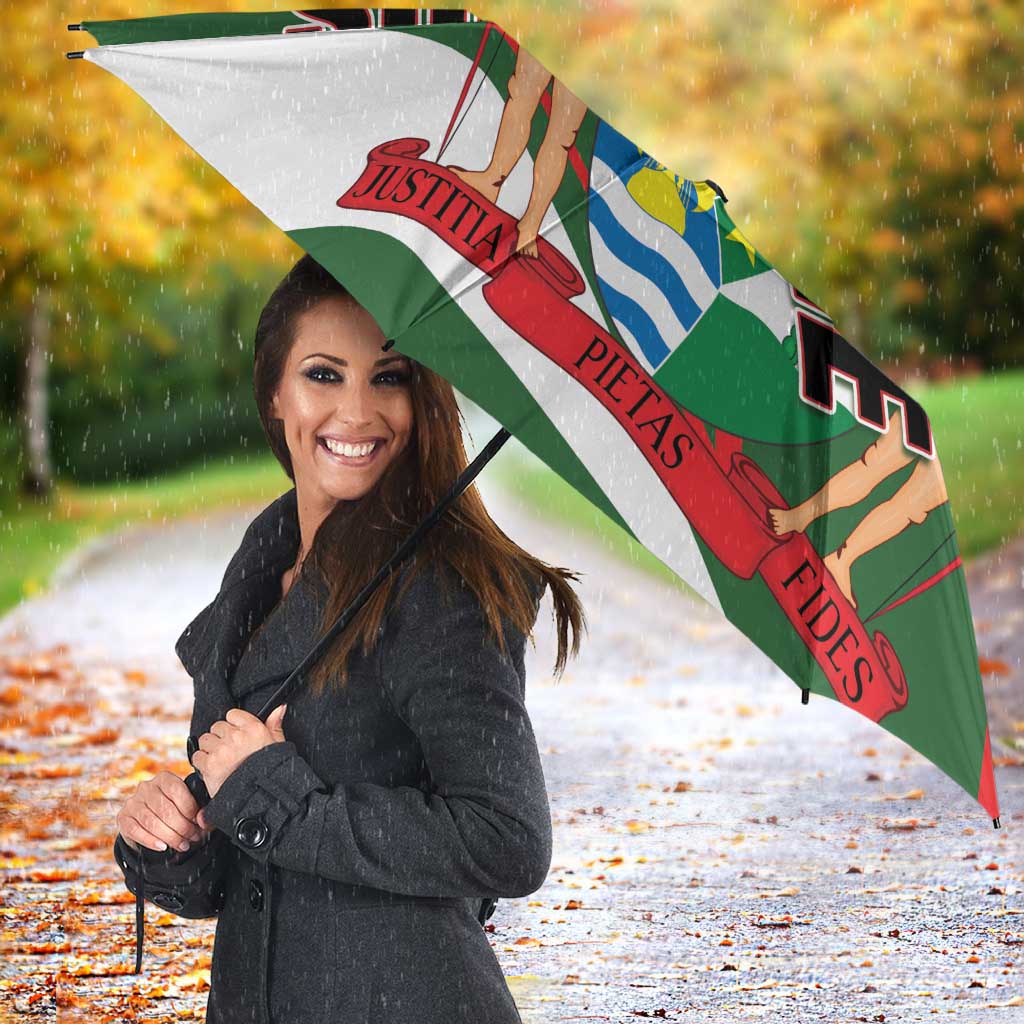 Republiek Suriname Umbrella Special Edition - Wonder Print Shop