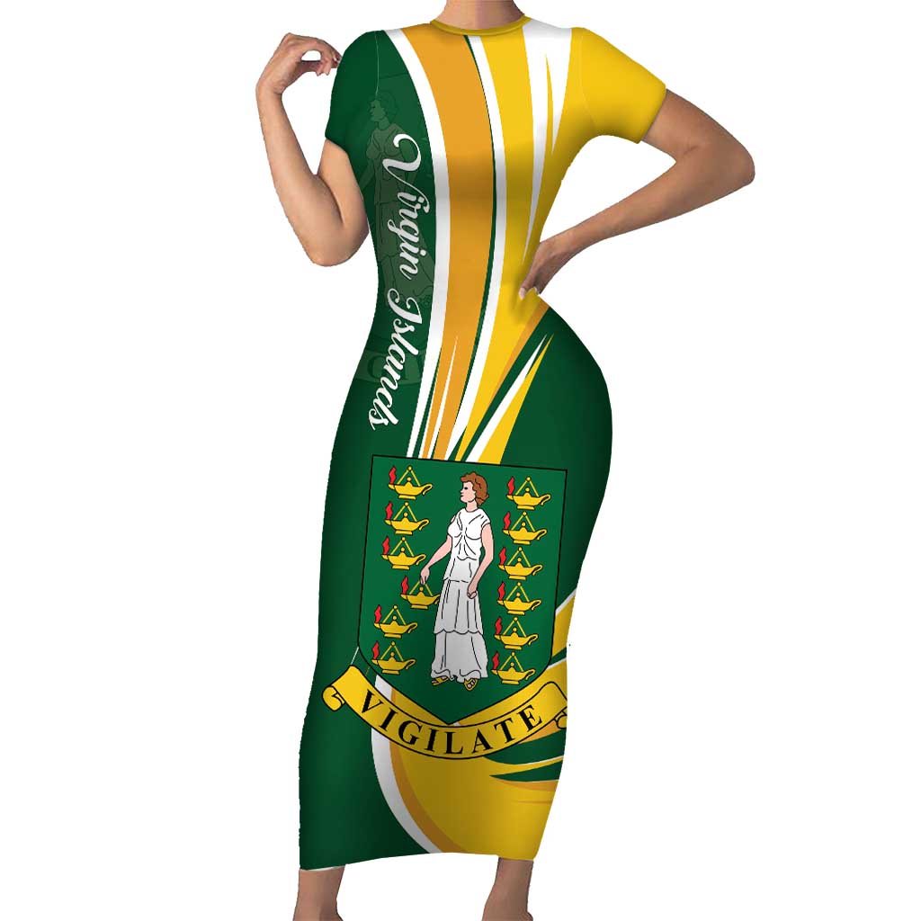 Personalised British Virgin Islands Family Matching Short Sleeve Bodycon Dress and Hawaiian Shirt Vigilate Flag Color