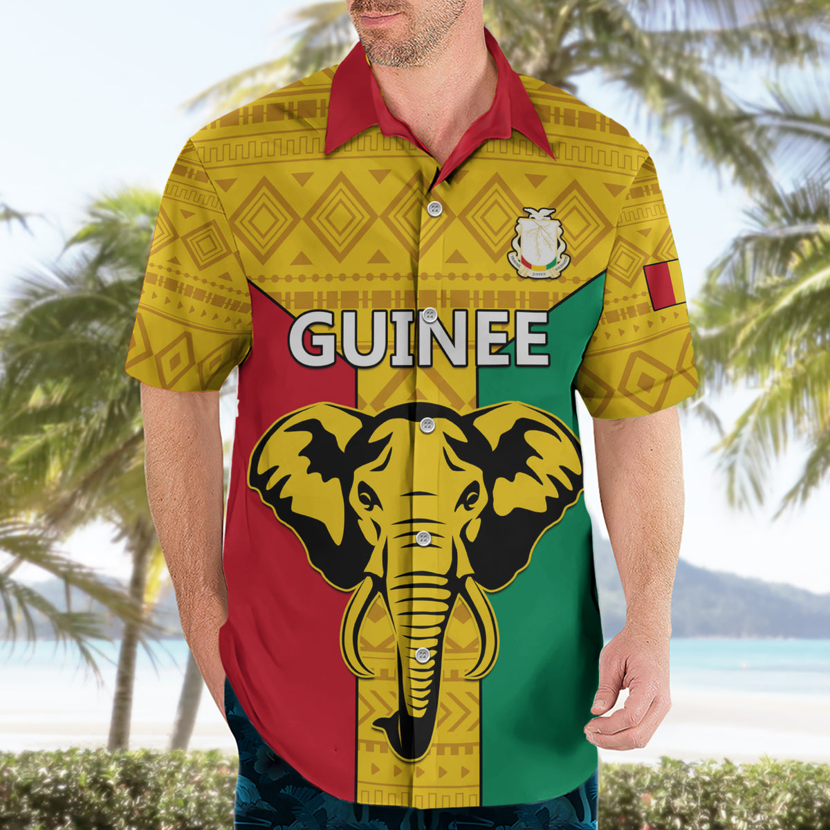 Guinea Football Hawaiian Shirt Come On Syli National - Wonder Print Shop