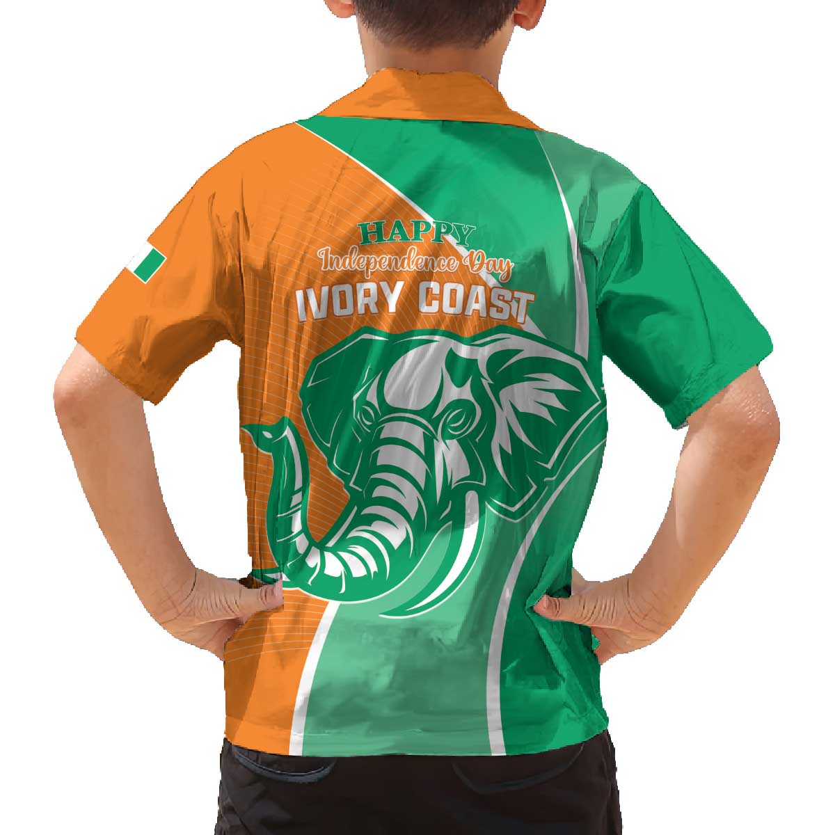 Ivory Coast Independence Day Family Matching Off The Shoulder Long Sleeve Dress and Hawaiian Shirt Cote d Ivoire Elephant - Wonder Print Shop