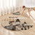Kentucky Horse Racing Round Carpet Derby Lady Riding Horse Twin Spires