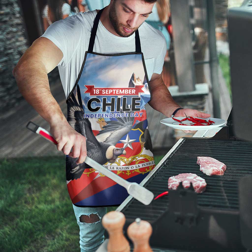 Chile Independence Day 18th September Apron Andean Condor Flying - Wonder Print Shop