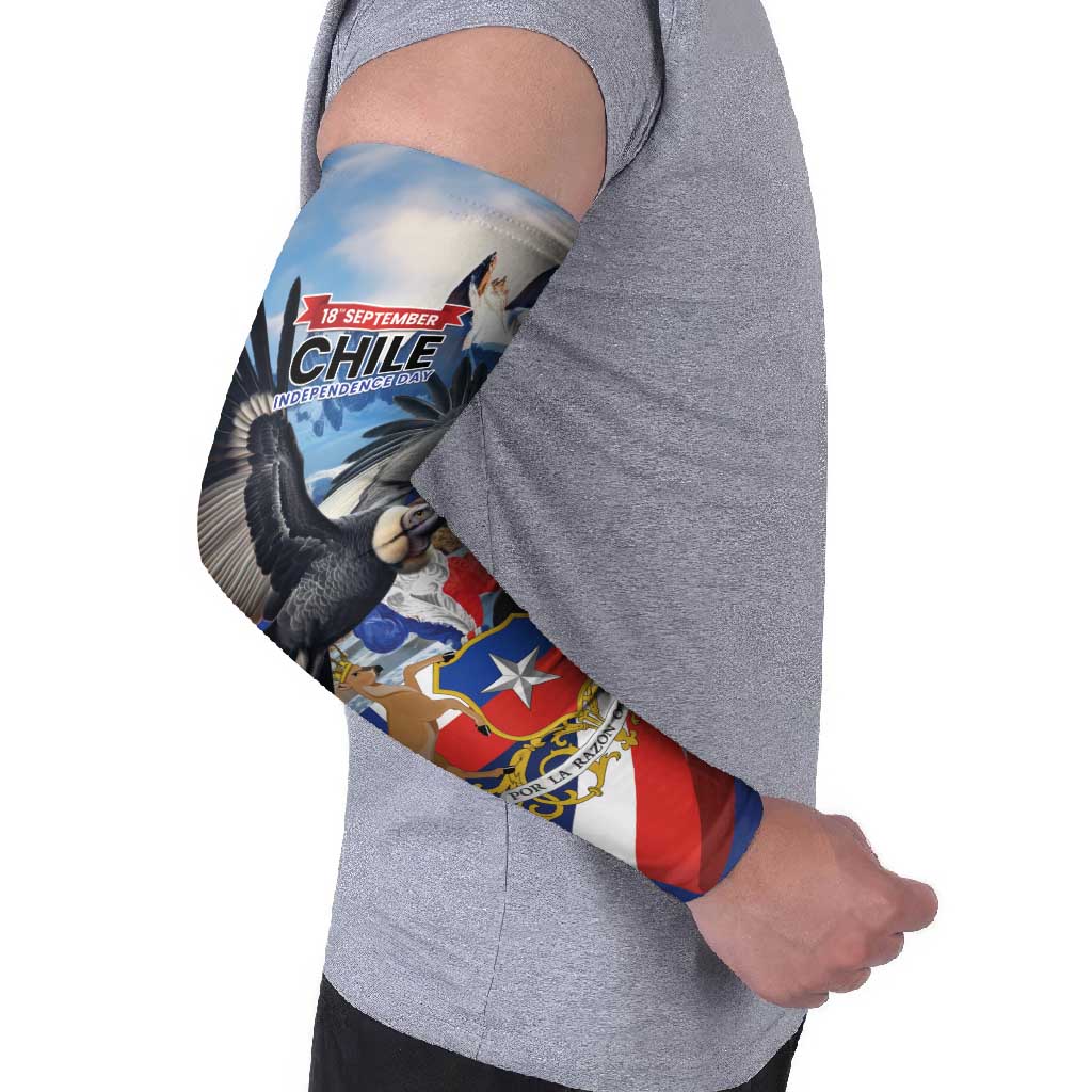 Personalized Chile Independence Day 18th September Arm Sleeves Andean Condor Flying - Wonder Print Shop