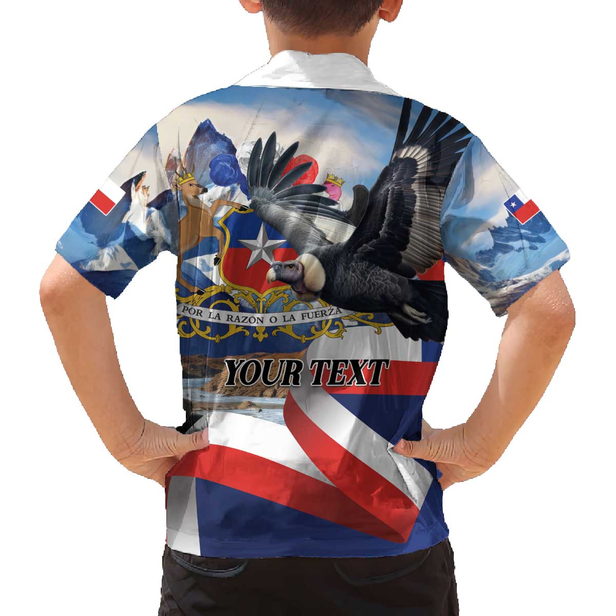 Personalized Chile Independence Day 18th September Family Matching Off The Shoulder Long Sleeve Dress and Hawaiian Shirt Andean Condor Flying - Wonder Print Shop