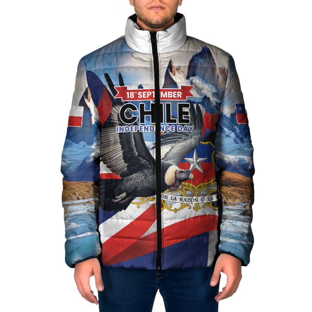 Personalized Chile Independence Day 18th September Padded Jacket Andean Condor Flying - Wonder Print Shop