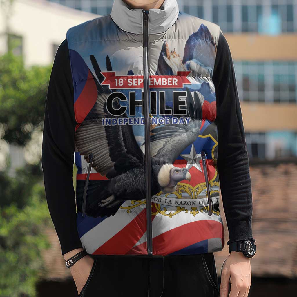 Personalized Chile Independence Day 18th September Sleeveless Puffer Jacket Andean Condor Flying - Wonder Print Shop