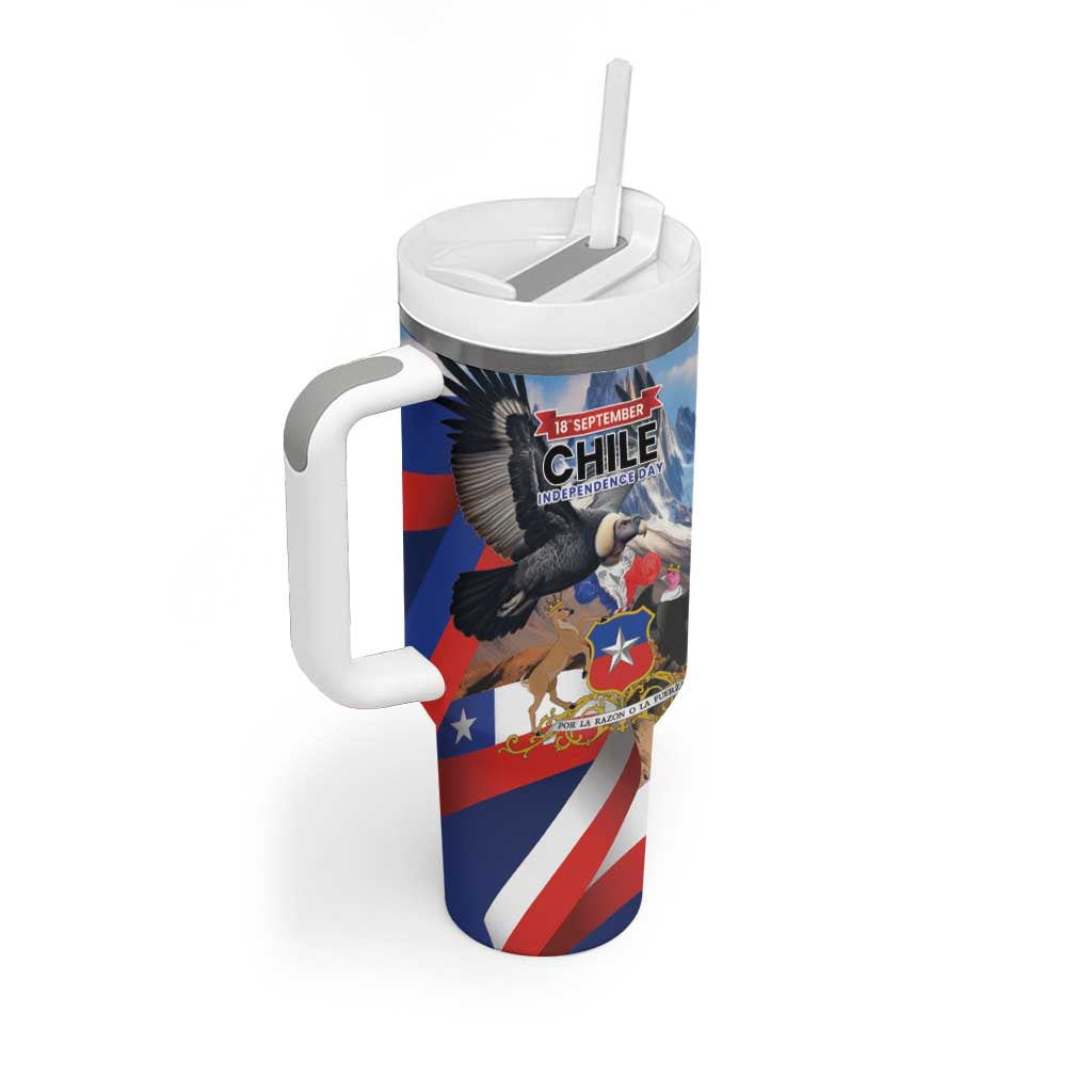Personalized Chile Independence Day 18th September Tumbler With Handle Andean Condor Flying - Wonder Print Shop