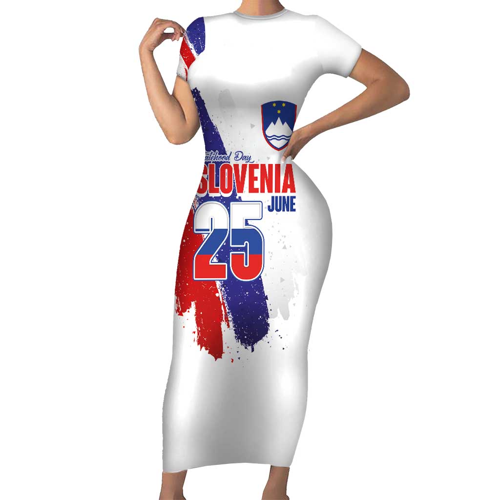 Slovenia Statehood Day Family Matching Short Sleeve Bodycon Dress and Hawaiian Shirt 25 June National Flag Color Brush Stroke Style