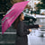 Barbados Cricket Royals Umbrella Sporty Style with Trident Symbol - Wonder Print Shop