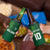 Custom Ireland Rugby-Celtic Shamrocks 4 in 1 Can Cooler Tumbler