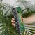 Custom Aotearoa South Africa Rugby Freedom Cup Skinny Tumbler Maori Silver Fern Art and Sporty Flag SA - Wonder Print Shop