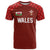 Custom Wales Rugby-The Three Feathers T Shirt Go Champions