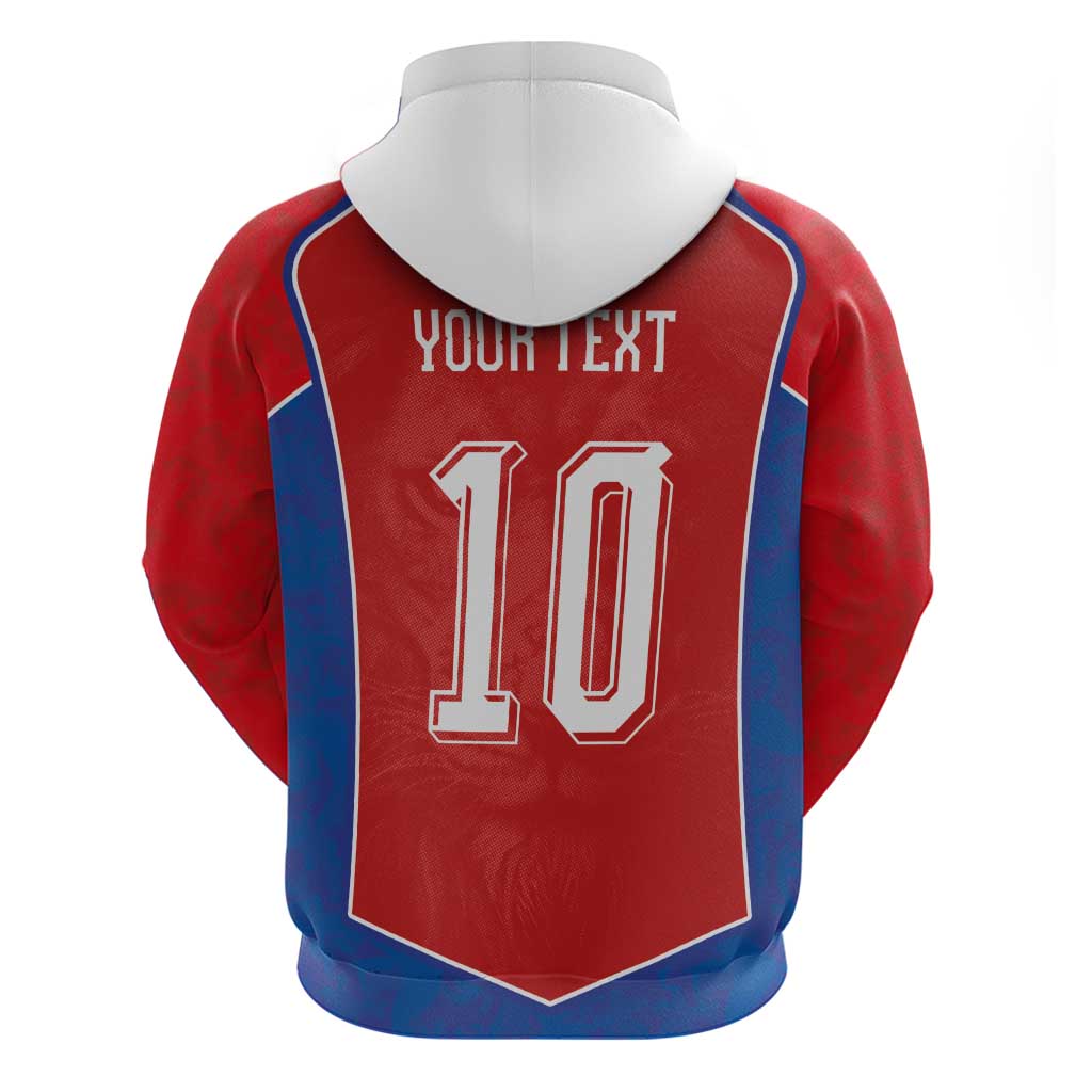 Custom Czechia National Football Hoodie Halftone Lion Graphic T90 Style