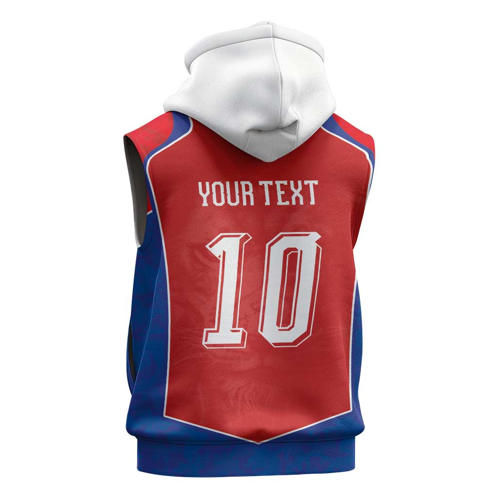 Custom Czechia National Football Sleeveless Hoodie Halftone Lion Graphic T90 Style