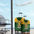 South Africa Rugby Luggage Cover Springbok Mascot History Champion World Rugby 2023 - Wonder Print Shop