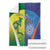 Australia And India Cricket Blanket Ashoka Chakra With Aboriginal - Wonder Print Shop