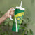 Australia And India Cricket Tumbler With Handle Ashoka Chakra With Aboriginal - Wonder Print Shop
