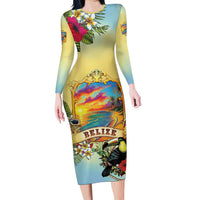 Belize Toucan Family Matching Long Sleeve Bodycon Dress and Hawaiian Shirt Belizean Pride Retro Style