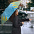 Kings Saint Lucia Cricket Umbrella Rise To Victory - Wonder Print Shop