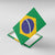 Brazil Football Canvas Wall Art Flag Style