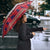 Cayman Islands Christmas Umbrella Coat Of Arms With Poinsettia - Wonder Print Shop