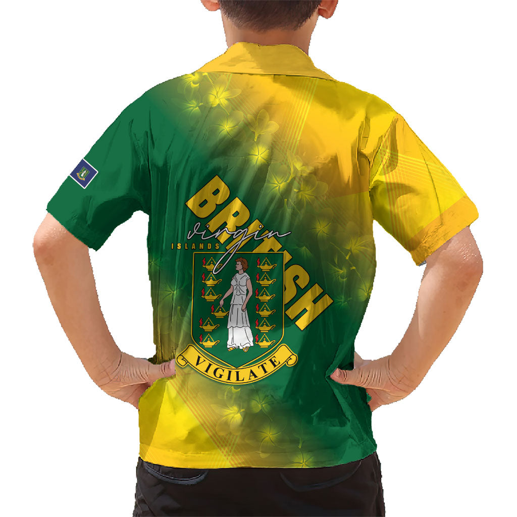 British Virgin Islands Hawaiian Shirt Coat Of Arms Plumeria Gradient Art