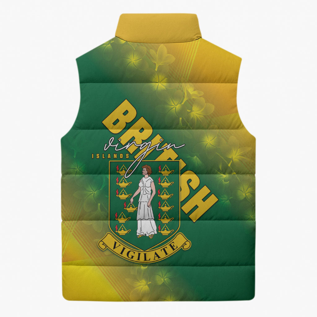 British Virgin Islands Sleeveless Puffer Jacket Coat Of Arms Plumeria Gradient Art