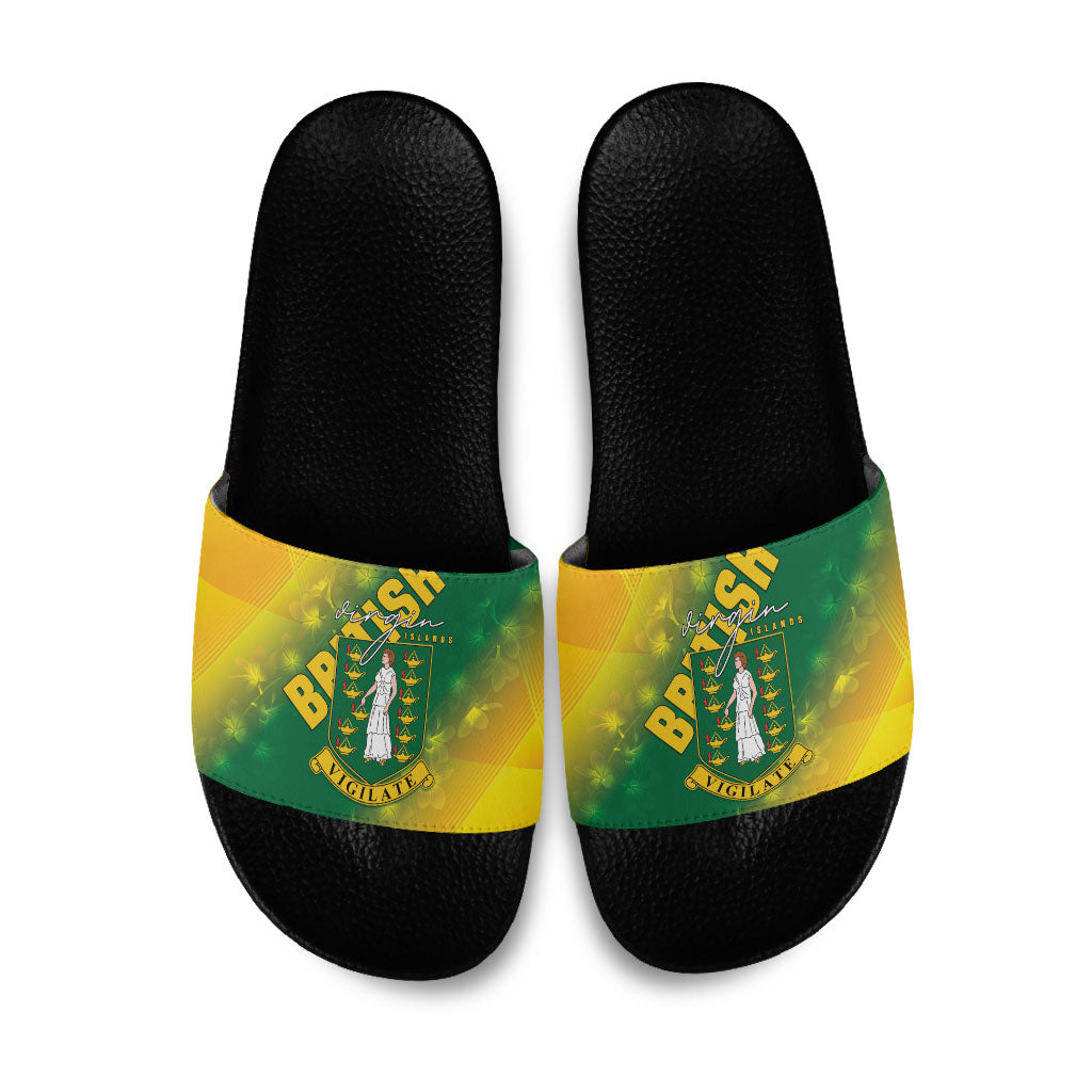 British Virgin Islands Slide Sandals Coat Of Arms Plumeria Gradient Art