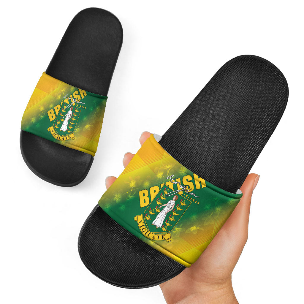British Virgin Islands Slide Sandals Coat Of Arms Plumeria Gradient Art