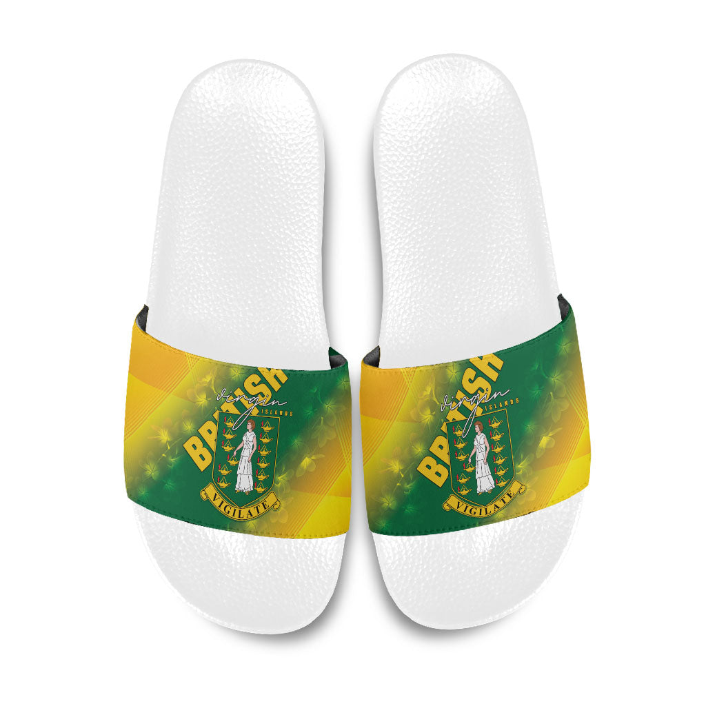 British Virgin Islands Slide Sandals Coat Of Arms Plumeria Gradient Art