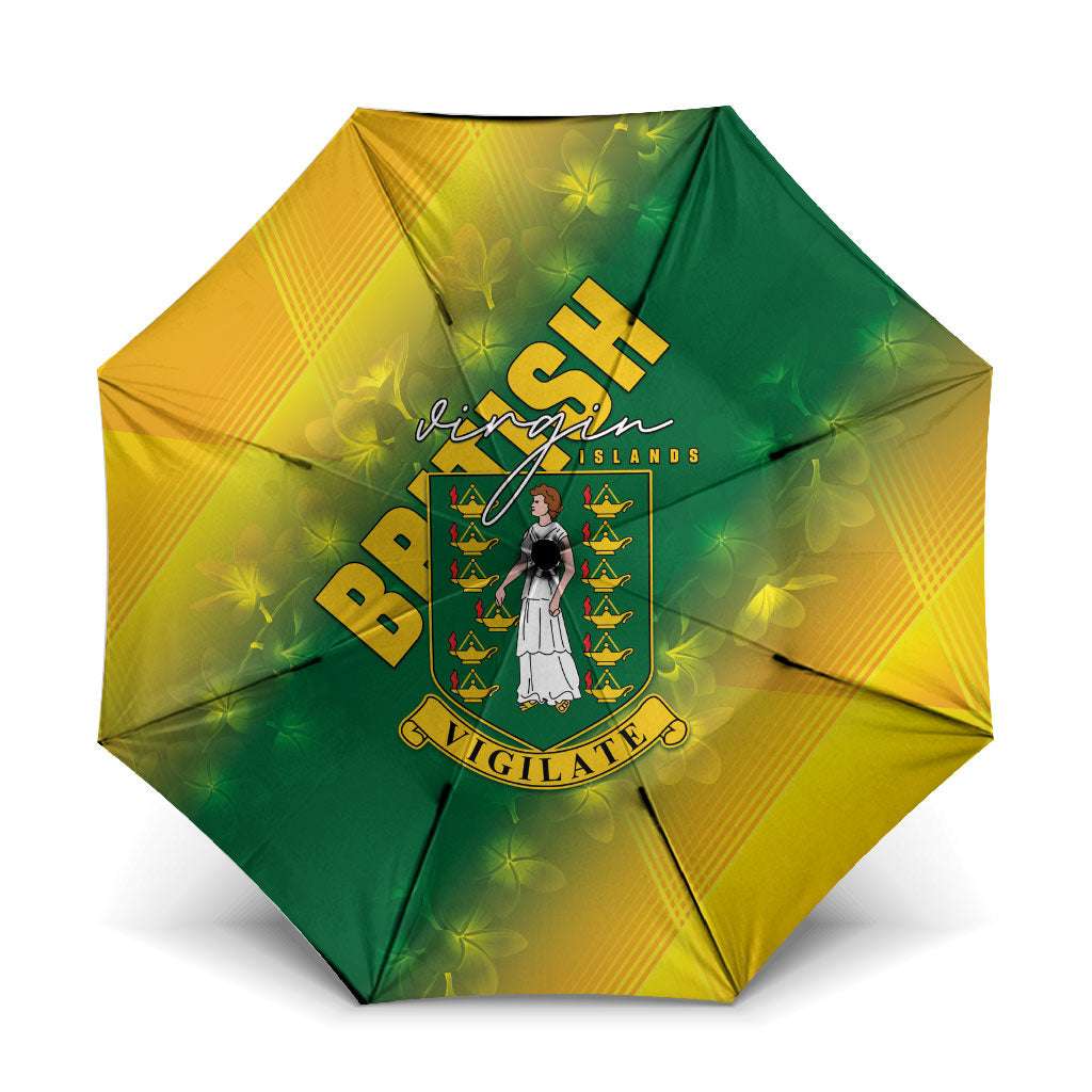 British Virgin Islands Umbrella Coat Of Arms Plumeria Gradient Art