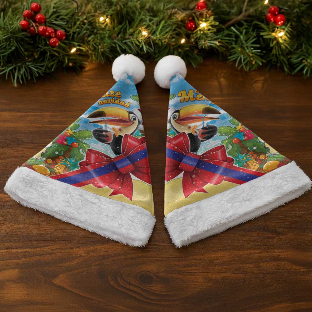 Belize Navidad Christmas Santa Hat Funny Santa Toucan - Wonder Print Shop
