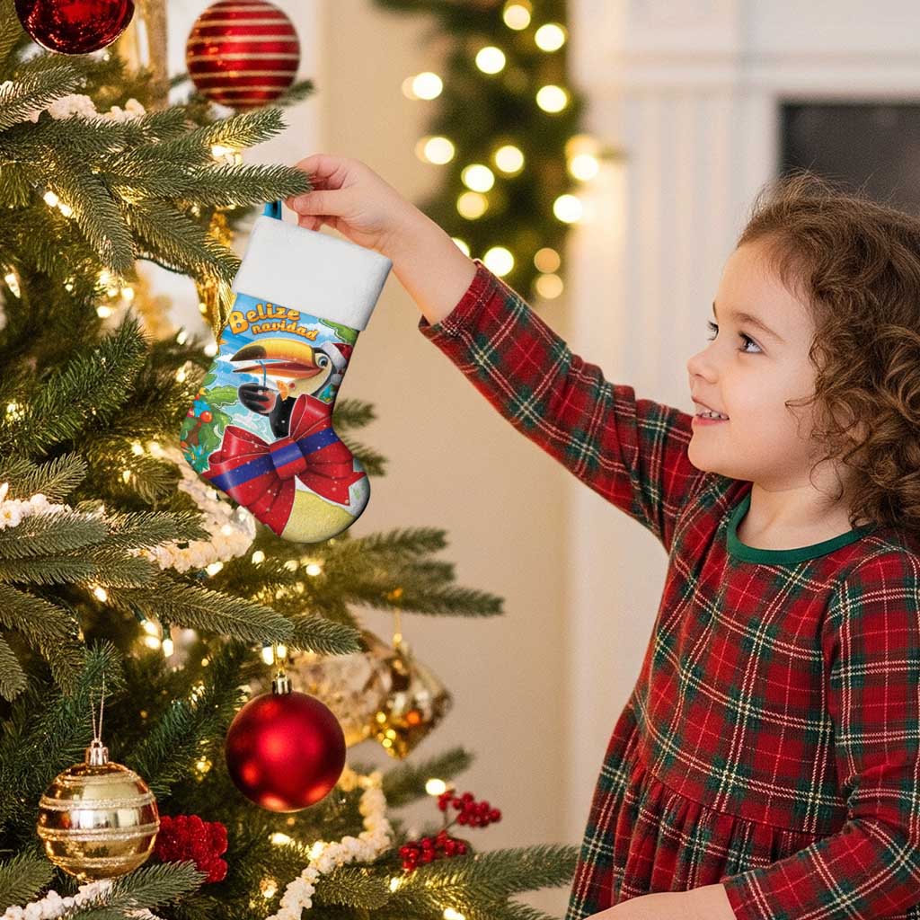 Belize Navidad Christmas Stocking Funny Santa Toucan - Wonder Print Shop