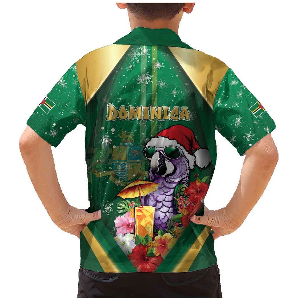 Dominica Christmas Family Matching Mermaid Dress and Hawaiian Shirt Funny Santa Sisserou Parrot - Wonder Print Shop