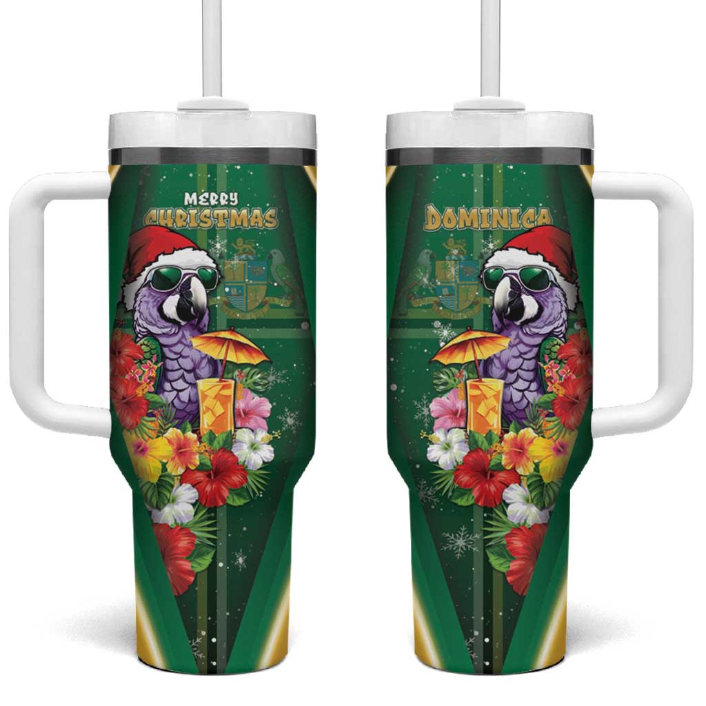Dominica Christmas Tumbler With Handle Funny Santa Sisserou Parrot - Wonder Print Shop