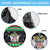 Saint Kitts And Nevis Christmas Spare Tire Cover Coat Of Arms Xmas Vibe - Wonder Print Shop