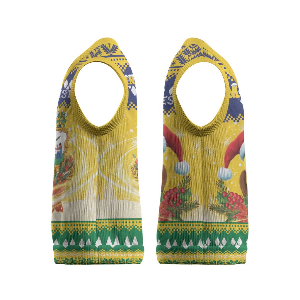 Saint Vincent And The Grenadines Christmas Knitted V-Neck Vest Santa Vincent Parrot With Coat Of Arms - Wonder Print Shop