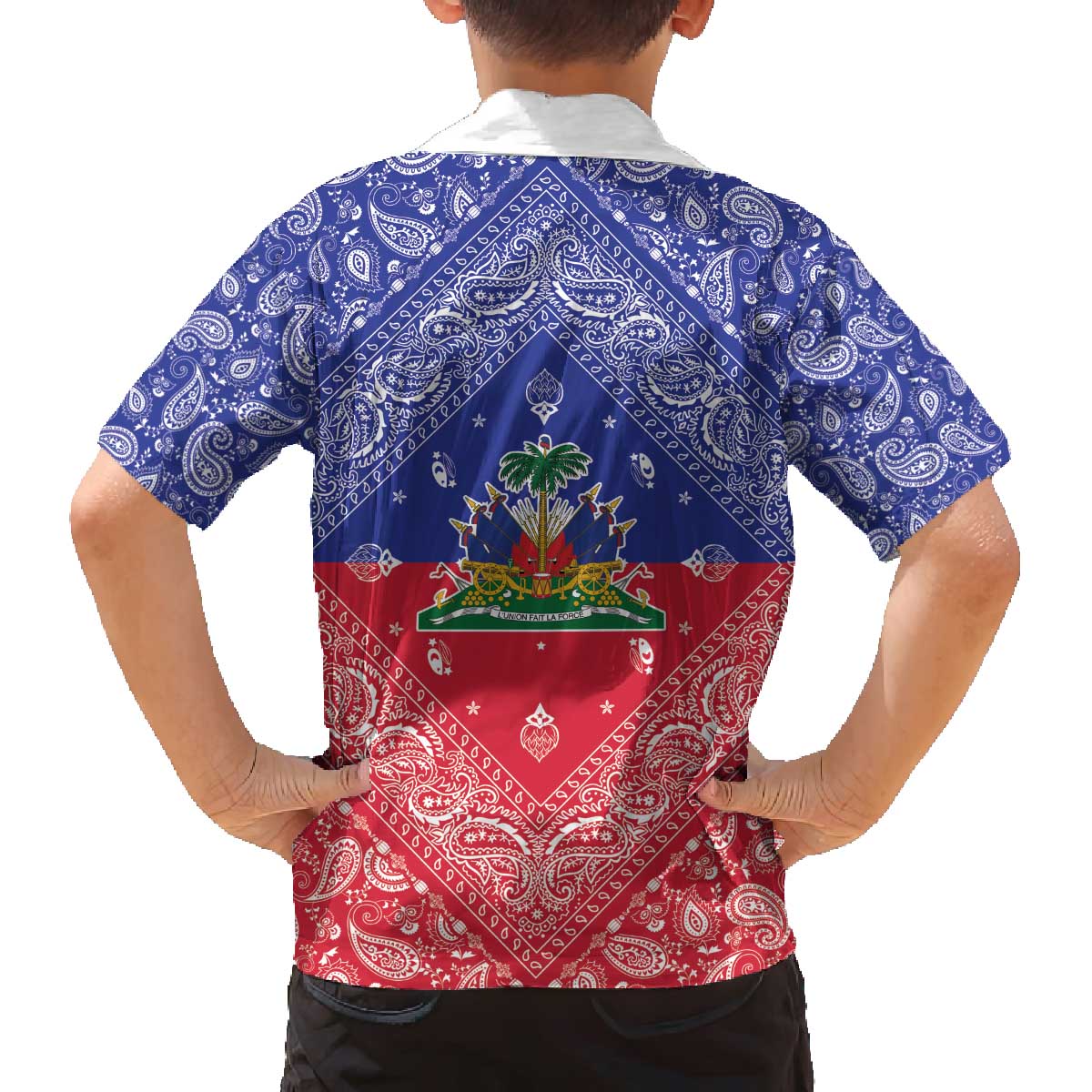 Haiti Paisley Family Matching Off The Shoulder Long Sleeve Dress and Hawaiian Shirt Haitian Flag Bandana Style - Wonder Print Shop