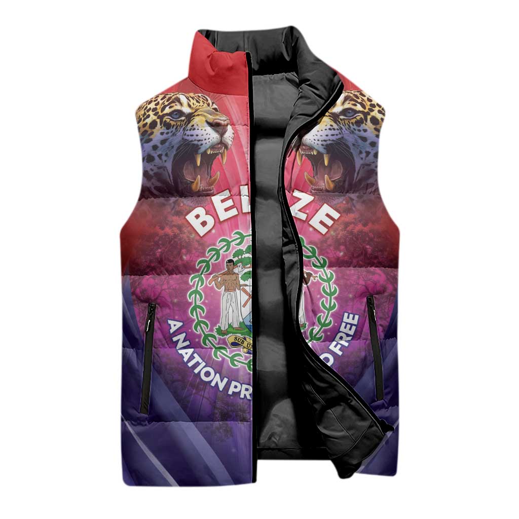 Belize 44th Independence Anniversary Sleeveless Puffer Jacket Stronger Together Rising Forever - Wonder Print Shop