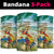 Aloha Hawaii It's 5 o'clock Somewhere Neck Gaiter - Wonder Print Shop