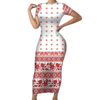 Antique Croatia Folk Embroidery Inspired Pattern Family Matching Short Sleeve Bodycon Dress and Hawaiian Shirt Roses and Peacocks - Wonder Print Shop