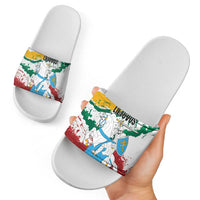 Lithuania Slide Sandals Lietuvos Artsy Vytis