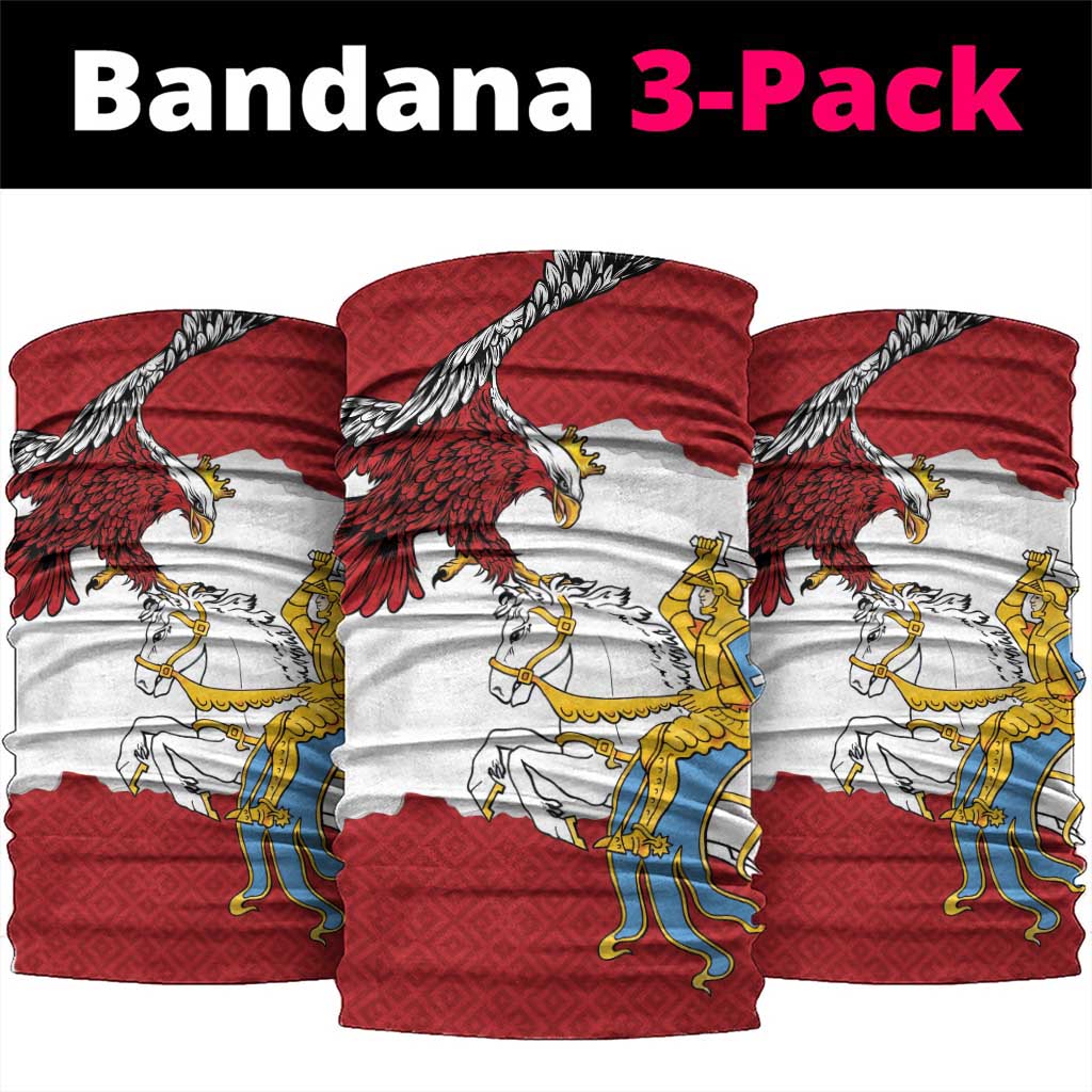 Poland-Lithuania Folk Patterns Neck Gaiter