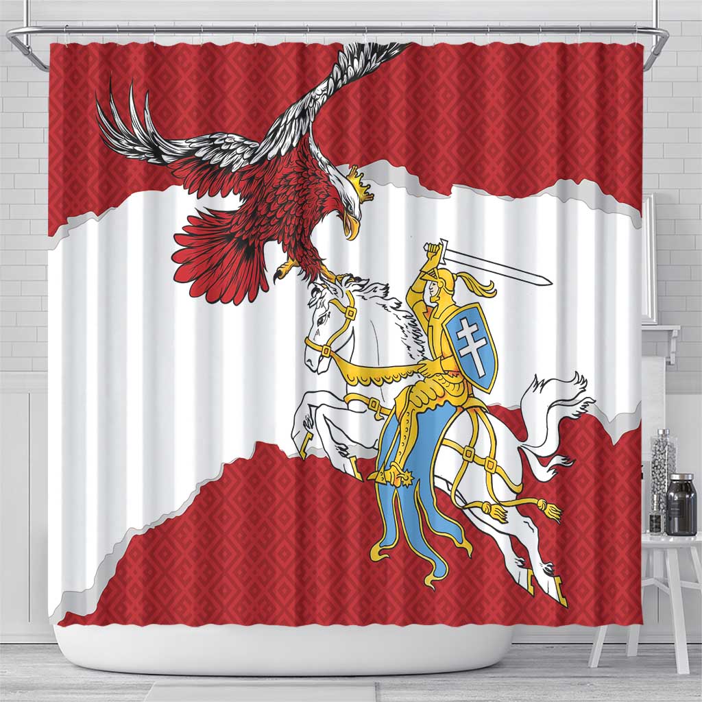 Poland-Lithuania Folk Patterns Shower Curtain