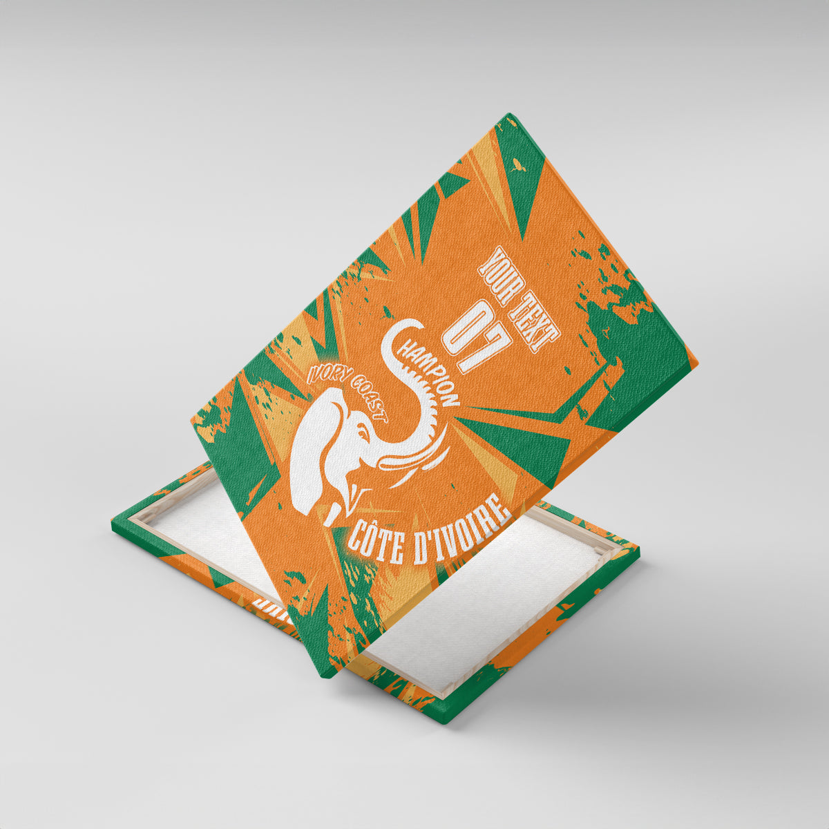 Ivory Coast Football Custom Canvas Wall Art Les Elephants Champions LT7 - Wonder Print Shop