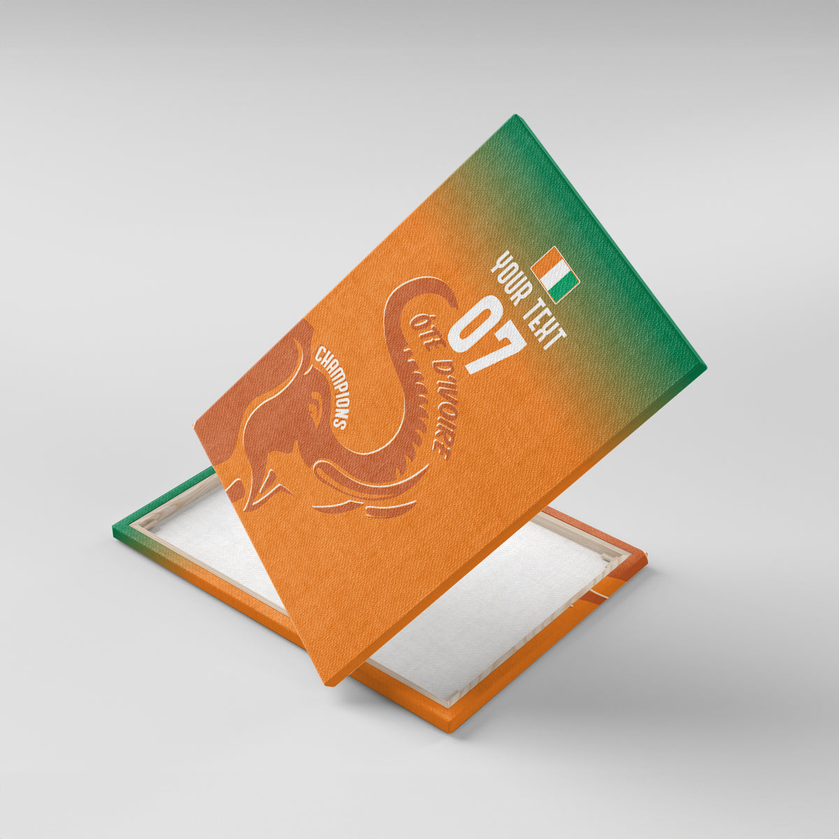 Ivory Coast Football Custom Canvas Wall Art Ivory Elephants - Basic Style LT7 - Wonder Print Shop