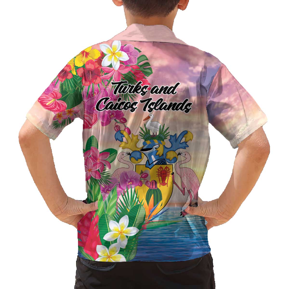 Turks And Caicos Islands Family Matching Off The Shoulder Long Sleeve Dress and Hawaiian Shirt Flamingos Tropical Beauty Beach