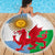 Wales Argentina Rugby Beach Blanket The Welsh Dragon and Sol De Mayo World Cup 2023 LT9 - Wonder Print Shop