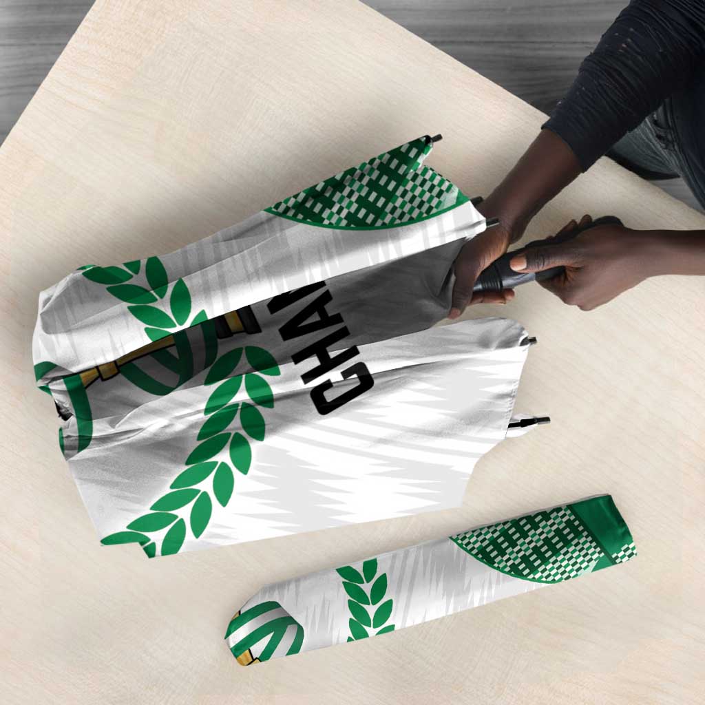 Nigeria Super Eagles Umbrella African Football Champions 2025