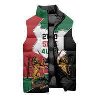 Kenya 254 Sleeveless Puffer Jacket Kenyan Flag Map Double Lion Shield - Wonder Print Shop